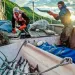 Author Dustin Solberg and his son harvest wild sockeye salmon every summer in Alaska’s Tuxedni Bay. They’re part of a community of commercial fishing families working from small boats in a fishery certified sustainable by the non-profit Marine Stewardship Council. | Photo by Hamish Laird