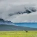 Arctic National Wildlife Refuge