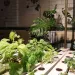 Green plants grow under indoor conditions in a hydroponic system
