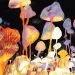 Illustration shows a large cluster of colorful mushrooms