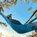 Two people lie in hammocks tied to tree limbs in the canopy.
