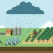 Illustrations show a farm next to a water source and the cycle of atmospheric nitrogen