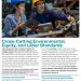 Cross-Cutting Environmental, Equity, and Labor Standards