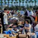 Two brothers look through donated clothes outside, palm trees behind them