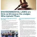 Environment Laws are Only as Strong as the Judges Who Uphold Them
