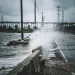 climate-hurricane-wind-istock-ericoverton