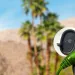 EV in California with palm trees