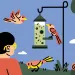  Illustration shows the back of a woman holding a mug and watching a bird feeder with three birds.