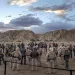 U.S. Rangers, and other law enforcement officers gather early morning ahead of a planned President Joe Biden's trip Tuesday, Jan. 7, 2025, to the Eastern Coachella Valley, Calif., where he was to announce the creation of the Chuckwalla National Monument before the trip had to be cancelled due to dangerously high winds. (AP Photo/Damian Dovarganes)