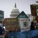 Photo by Allison Bailey/NurPhoto via AP