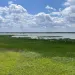 The Dixon Waterfowl Refuge has been restored over the past few decades by The Wetlands Initiative. Photo by Ethan Freedman.