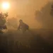 A firefighter pulls a water hose as a wildfires continues to burn Tuesday, Dec. 5, 2017, in Santa Paula, Calif.