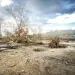 French Broad River Park after Hurricane Helene 2024 in Asheville, North Carolina. Photo by FS/iStock