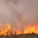 A prescribed fire rages across Acadia National Park. 