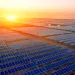 A large array of solar panels with the sun setting in the background.