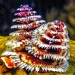 Photo by John Anderson Photo/iStock