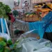 A woman with Alianza Nacional de Campesinas picks up a bag of romaine lettuce.