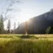 Image of the sun rising over Yosemite National Park.
