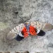 Photo by arlutz73/iStock