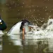 Photo by DamianKuzdak/iStock