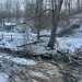 Fallen and cut branches alongside the snow-covered banks of a creek in Nashville after Winter Storm Fern.