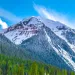 Evergreen framing a mountain peak in Silverton, Colorado 