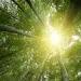 Photo by Alex Cristi/iStock