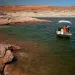 A Utah State University research team works at Lake Powell on June 7, 2022, in Page, Ariz. Confirming their worst fears for record-low lake levels, National Park Service fisheries biologists have discovered that smallmouth bass, a non-native predator fish, has made its way through Glen Canyon dam and appear to have spawned in the lower Colorado River, where it can prey on humpback chub, an ancient native fish they have been working to reestablish. 