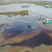 An aerial view shows the affected area of marsh environment near Garden Island Bay, La., on May 1, 2025. (U.S. Coast Guard via AP)