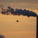 A great egret is seen in flight as pollution and steam rise from the stacks of the Miami Fort Power Station, which is situated along the Ohio River, in Lawrenceburg, Indiana, on September 21, 2025, at the Oxbow Nature Conservancy