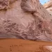 Footprints at Grand Staircase Escalante National Monument