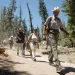 Shelton Johnson, wearing a park ranger uniform, walks down a dusty path through woods followed by a dozen or so hikers.