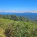 Photo of the Cheoah Bald Roadless Area in North Carolina