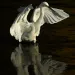 filename