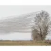 filename