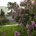 University of California, Irvine