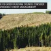 Environmental Groups' Critique of Legal Wood Pilot Credit