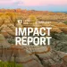 Spring 2021 Impact Report