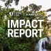 Summer 2022 Impact Report