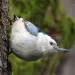 filename