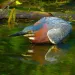 filename