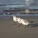 filename