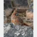 filename