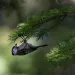 filename