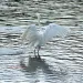 filename