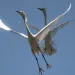 filename