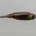 filename