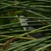 filename