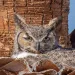 filename