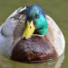 filename